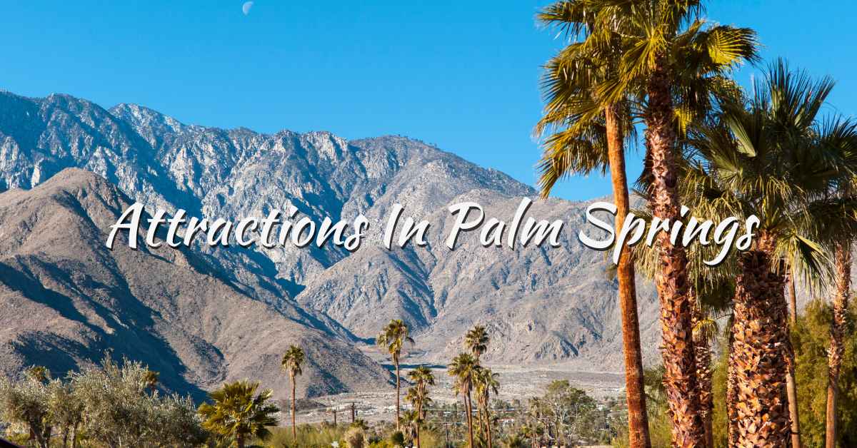 Blog featured image for palm springs california attractions showing some palm trees and mountain view in Palm Springs