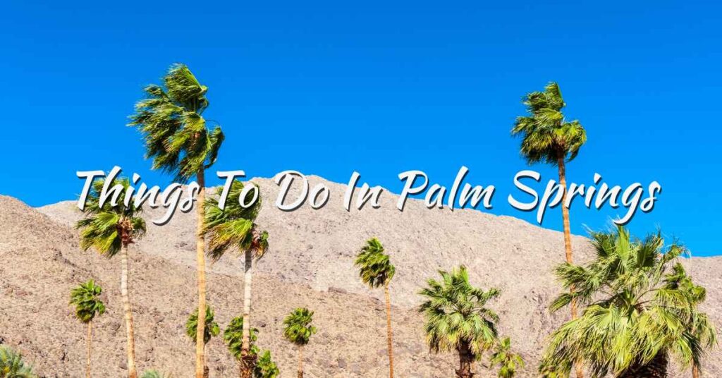 Blog featured image for Things to Do in Palms Springs Ca showing some palm trees and mountain view in Palm Springs