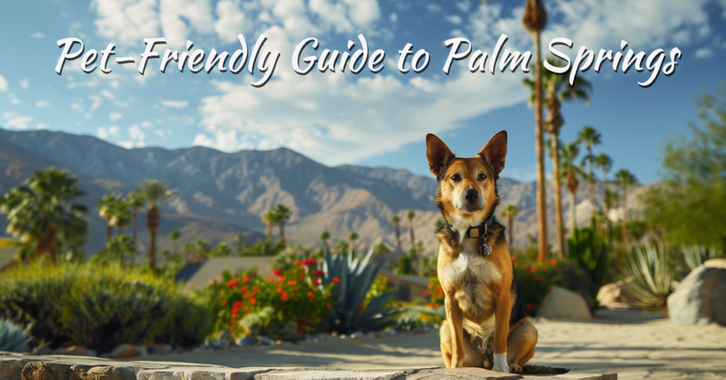 Palm Springs Pet-Friendly Guide