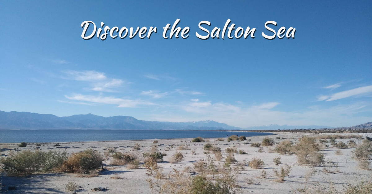 Salton Sea