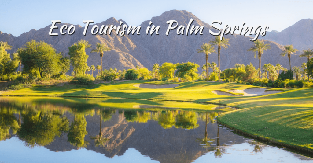 Eco Tourism in Palm Springs