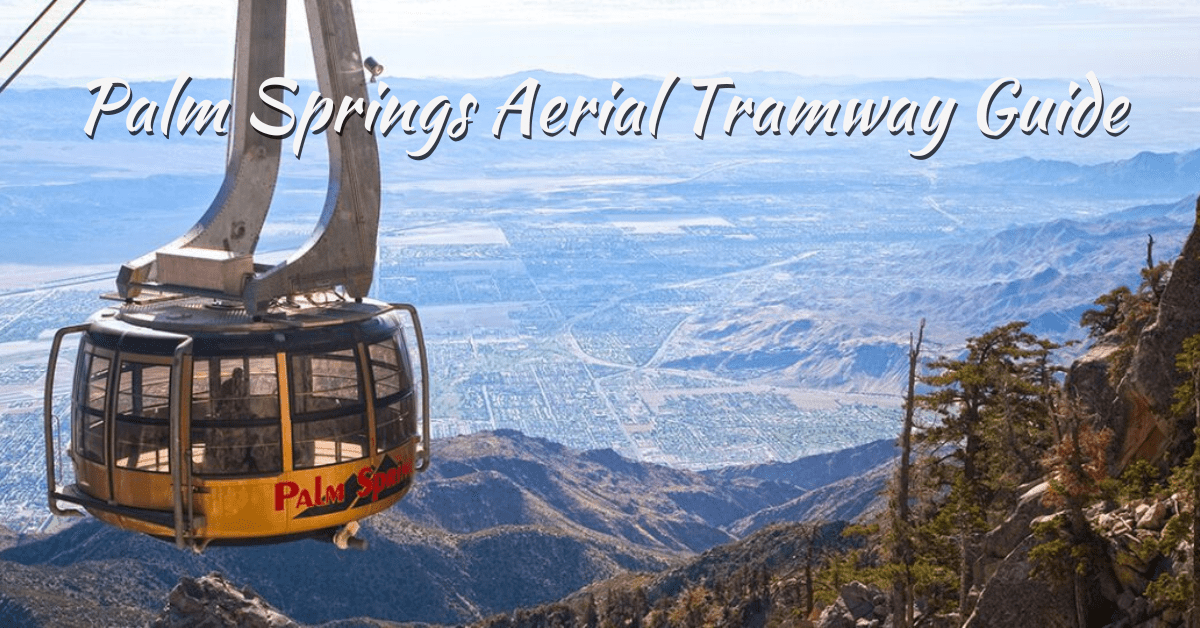 Palm Springs Aerial Tramway Guide: Scenic Ride, Dining & Trails