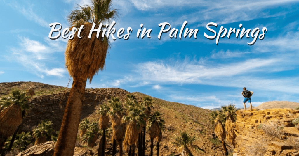 Best Hikes in Palm Springs