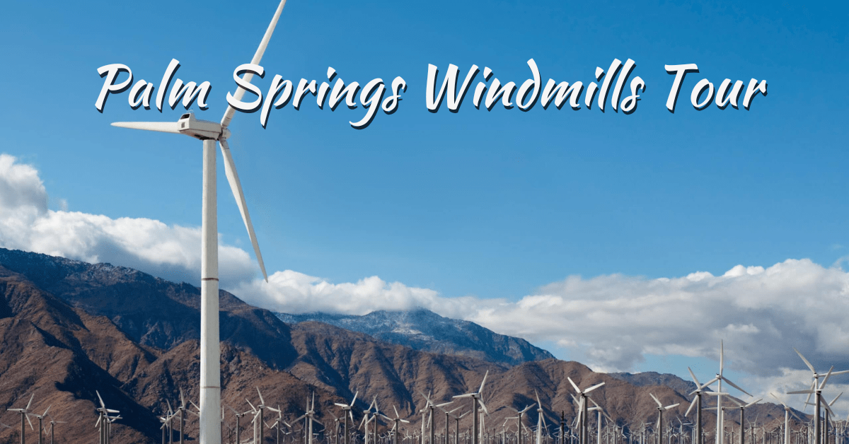 Palm Springs Windmills Tour