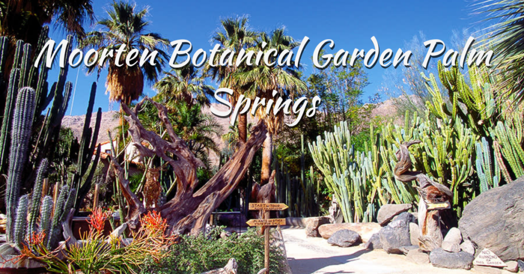 Moorten Botanical Garden Palm Springs