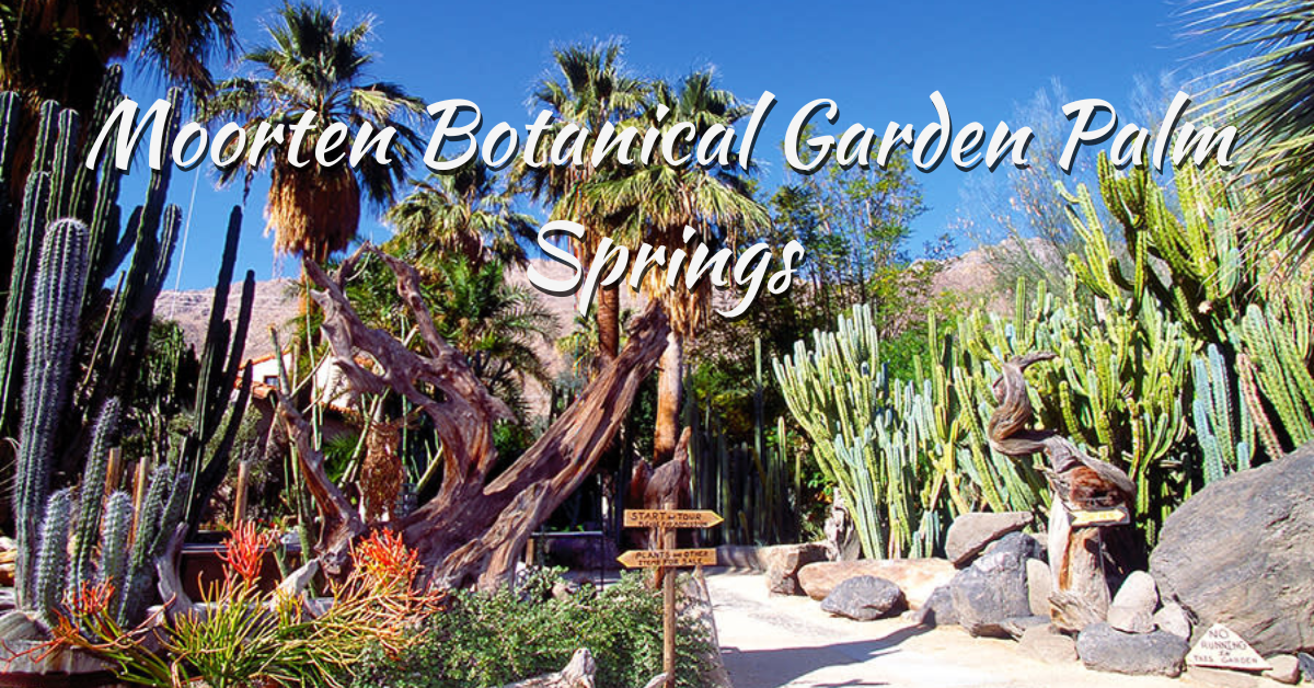 Moorten Botanical Garden Palm Springs