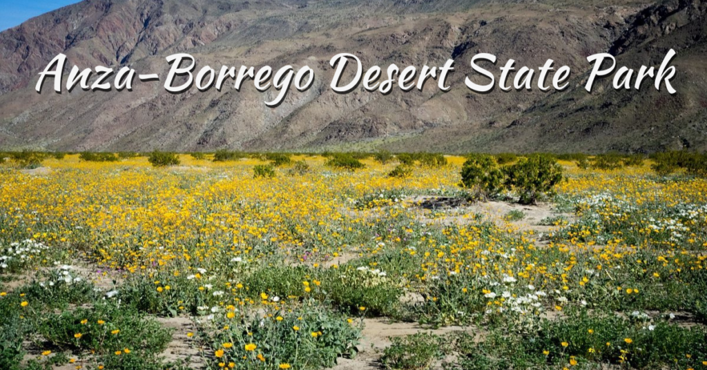 Anza-Borrego Desert State Park